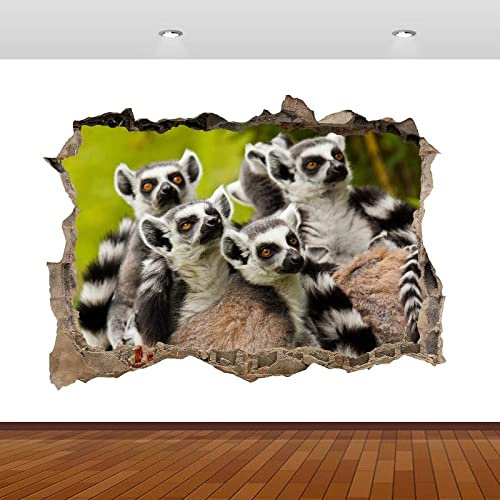Wandsticker Lemur Monkeys Animal Zoo Jungle 3D Smashed Wall Sticker Poster Vinyl Mural S606 55x80cm