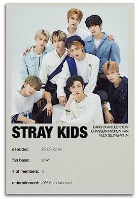 Stray Kids Profilposter Skz Poster Kpop Poster Stray Kids Alle Gruppenmitglieder Poster