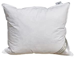 Betten Hofmann Pusta Kopfkissen 50x60 Kissen Kleinkissen Kuschelkissen 480g 30% Daunen, kuschelig, anschmiegsam, Federkissen, Naturprodukt, waschbar,