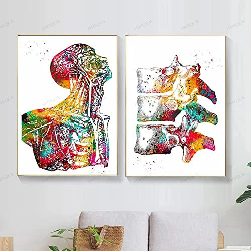 HMXQLW Anatomie Wandbilder Mensch Muskel Aquarell Skelett Bilder kunstdrucke Klinik Deko,Leinwandbilder Poster und Drucke Wandkunst Rahmenlos (2X60x80cm,1)
