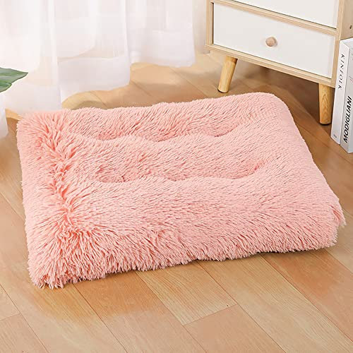 Lit pour Chien en Peluche S 65x48cm, Confortable Coussin pour Chat, Panier Orthopédique, Matelas Anti-dérapant et Lavable