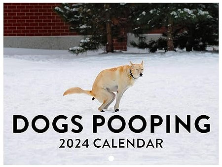 Pooping Dogs Wandkalender 2024 Hundekot Kalender, Lustige Gag Hund Pooping Wandkalender, Dogs Pooping In Beautiful Places Monatlicher Wandkalender Für Freunde, Familie, Nachbarn, Mitarbeiter