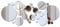 32 PCS Rond Miroir Murale, 3D Acrylique Argent Autocollant,DIY Flexible Décoratifs Stickers pour Salon Cuisine Chambre Bureau TV Salon (Petite)