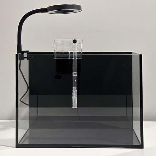 Nano-Aquarium-Set, randloses Glas, Betta-Fischbecken mit Filter und LED-Licht, 30,5 x 15,2 x 20,3 cm, kleines Desktop-Fischbecken für Zuhause und Büro