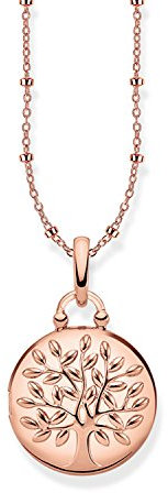 Thomas Sabo Damen-Ketten mit Anhänger Vergoldet KE1831-415-40-L45v