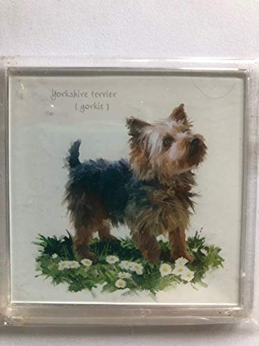 Dog Breeds Square Fridge Magnet Westie Yorkie Collie Jack Russell German Shepherd Labrador (Yorkie)