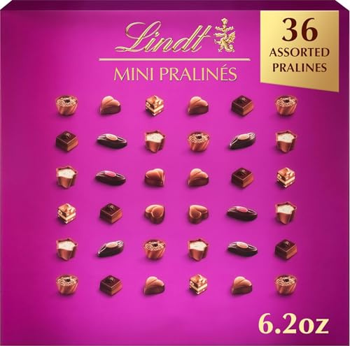 Lindt Mini Pralines, Assorted Chocolate Candy Pralines With Premium Filling, Great For Gift Giving, 6.2 oz. Gift Box