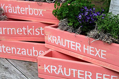 Dekorie Blumenkasten Pflanzkasten Massivholz Pflanzkiste Aufbewahrungskiste Apricot Pink Shabby mit Druck (Kräuterbox)