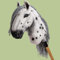 HUMMA Appaloosa Steckenpferd - EIN Schimmel mit Leopardenflecken und Grauer Mähne