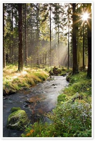 Bode im Harz Poster von Dave Derbis 100 x 150 cm Grün Wandbilder Wanddeko