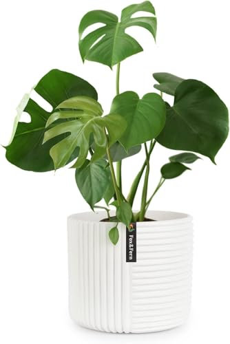 Fox & Fern Pot de Fleur Interieur, Pot pour Plantes en Polystone, Cache Pot Plante Interieur et Extérieur Résistant UV et Gel, Pot Fleur Exterieur Grande Taille, Jardinieres Exterieur Bouchon Drainage
