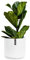 Fox & Fern Pot de Fleur Interieur, Pot pour Plantes en Polystone, Cache Pot Plante Interieur et Extérieur Résistant UV et Gel, Pot Fleur Exterieur Grande Taille, Jardinieres Exterieur Bouchon Drainage
