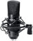 SUUNTOK Micrófono XLR TM020, kit de micrófono cardioide de grabación profesional de diafragma grande chapado en oro de 34 mm, para estudio, transmisión en vivo, podcasting, juegos (negro)