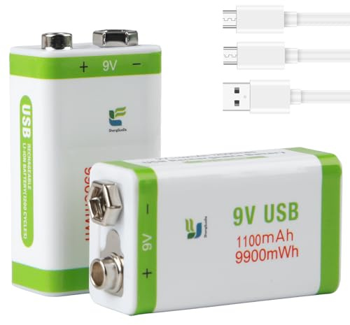 Piles 9V Lithium Rechargeable Batterie 9V 1100mAh Pile 9V Rechargeable Longue Durée avec USB C de Recharge, Lot de 2