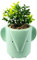 Leaf Ceramic Animal Planters, Elephant Foliage, 20cm