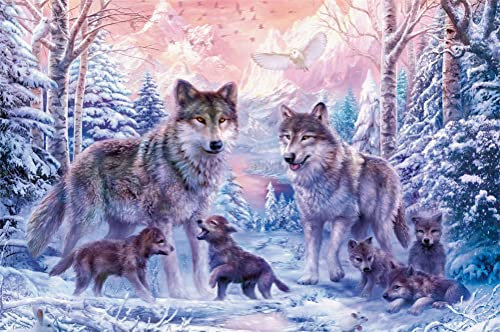 Meecaa Malen nach Zahlen Wolf Waldjunges Kit für Erwachsene Anfänger DIY Ölgemälde 40,6 x 50,8 cm (Wild Wolf, ohne Rahmen)