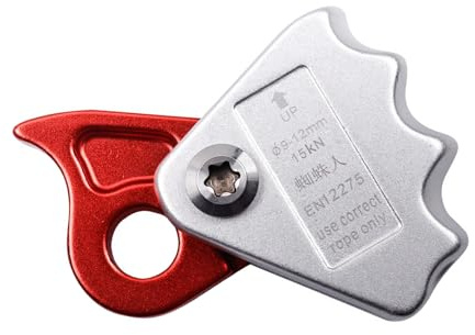 NUEAYMS Starke, automatisch verriegelnde Absturzsicherung aus Metall, schnell lösbares Abseilgerät zum Klettern und Wandern Eigenes verriegelbares Abseilgerät