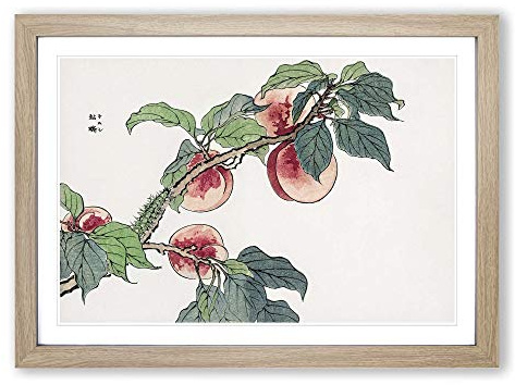 Caterpillar on a Peach Tree by Morimoto Toko Framed Print | A2 Oak Framed Wall Art | Ready to Hang | Modern Floral Picture | Living Room Bedroom Lounge Office