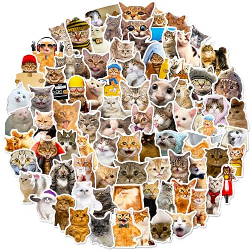 LIFEBE 100 Stück Niedliche Katze Aufkleber,Lustige, süße Internet-Katzen aufkleber für Jugendliche,Erwachsene,wasserdichte Vinyl Aufkleber für Laptop,Wasserflaschen,Scrapbooking,Mappen,Laptop