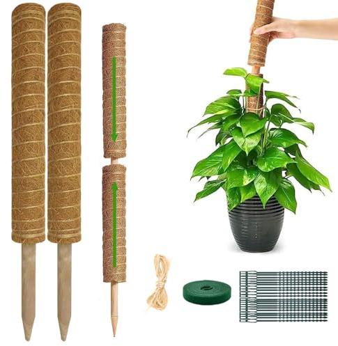 Monstera Plant Support Moss Pole: 2 Pack 16 Inch Stackable Coco Coir Moss Totem Stake Tall Stand Grow Stick Plants Rod Moss Holder for House Live Plant,Indoor Climbing Potted,Vine,Pothos,Philodendron