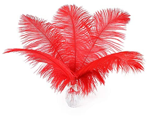 Ballinger Red Large Ostrich Feather Bulk for Centerpieces,12Pcs,10-12inch | Natural Bright Red Ostrich Feathers for Vase,Wedding Party Centerpiece, Flower Arrangement and Christmas Tree Home Decoration