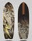 Lab Skateboard Skateboard Surfboard Deck Electron Zeus 29 Fish