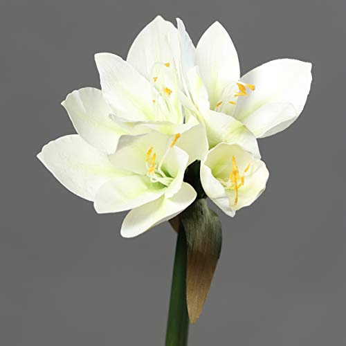 Amaryllis Real Touch 36cm DP Kunstblumen künstliche Blumen Pflanzen (Weiß)