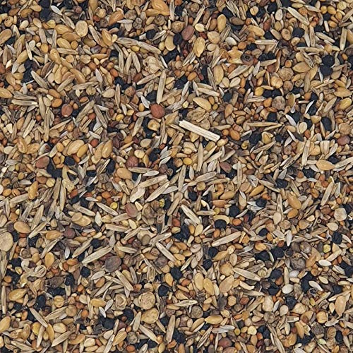 Wildsamen - Gladen 2,5kg