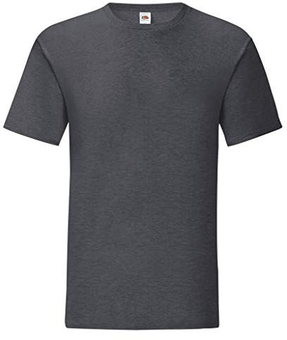 Fruit of the Loom Mens Iconic T-Shirt (L) (Dark Heather)