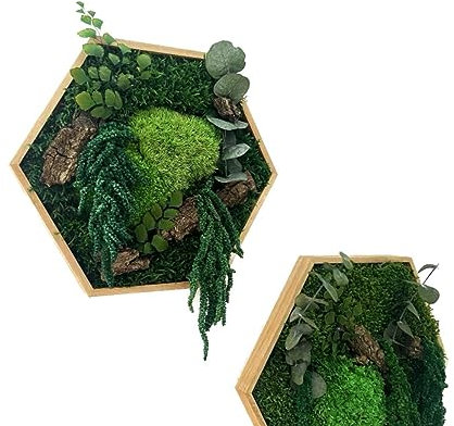 Moos-Hexagon Urban Jungle mit Farn Eukalyptus geölter Rahmen secheckige Mooswabe mit konserviertem Moos Moosbild (mittel 26 cm)