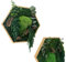 Moos-Hexagon Urban Jungle mit Farn Eukalyptus geölter Rahmen secheckige Mooswabe mit konserviertem Moos Moosbild (mittel 26 cm)