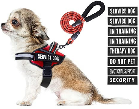 Service Dog Hundegeschirr, Geschirr und Leine, Animire für Training, mit 10 Hundeflicken, reflektierende Hundeleine mit weich gepolstertem Griff für kleine, mittelgroße und große Hunde (Rot, XS)