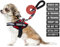 Service Dog Hundegeschirr, Geschirr und Leine, Animire für Training, mit 10 Hundeflicken, reflektierende Hundeleine mit weich gepolstertem Griff für kleine, mittelgroße und große Hunde (Rot, XS)