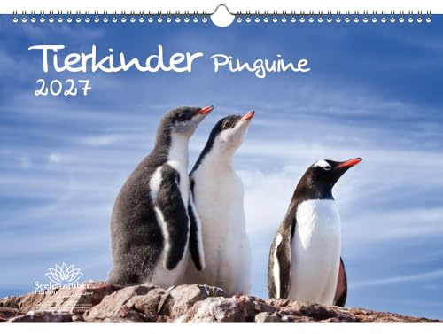 Tierkinder Pinguine DIN A3 Kalender für 2027 Pinguin - Seelenzauber