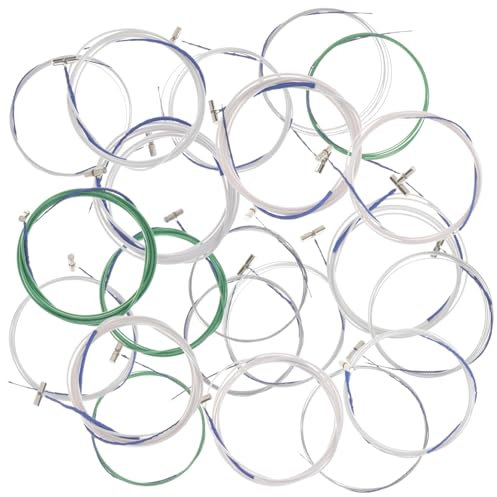 Gadpiparty 21stücke Nylon Saitensatz Für Chinesisches Guzheng Langlebige Wechselsaite Guzheng-ersatzsaiten Mit Klarer Klang Und Reichen Obertönen Guzheng-zubehör Für Üben Und Spielen