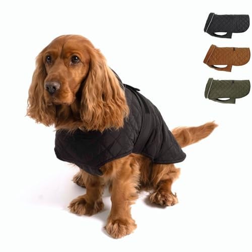 PAW WOW Fritz Hundemantel | Hundejacke mit Bauchschutz und Klettverschluss | Hundejacke Winter für kleine und mittelgroße Hunde (Schwarz, L)