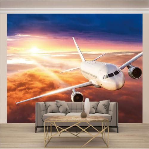 Fototapete 3D Effekt Vlies Tapeten Wandbild Moderne Art Wandtapete Wohnzimmer Schlafzimmer Küche XXL 274 x 254cm(B x H) Flugzeug