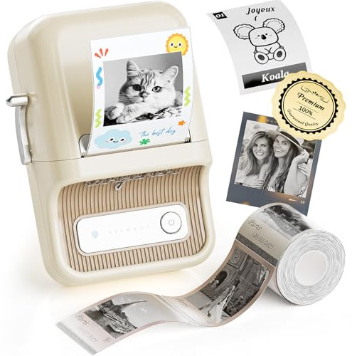 NIIMBOT Etiqueteuse B21 Pro, 300 DPI Imprimante d'étiquettes Autocollant Thermique sans Encre, avec Etiquettes pour la Maison, la Cuisine, Le Bureau et Les Entreprises