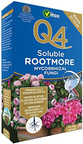 Vitax Q4 Rootmore Soluble 50G