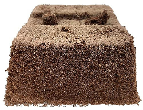 TerraBrick Floral Media - 8 Ziegel im Papiertray