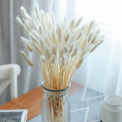 FANNAS Pampasgras Trockenblumen Deko, 60 Stück Hasenschwänze Pampasgras Getrocknet Trockenblumen,Natürliche Pampas Gras Trockenblumen für Blumen Arrangements Heim Decor Hochzeit (Weiß)