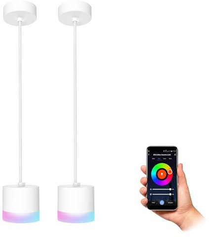 SSC-LUXon Design Deckenleuchte VORA 2er Set - moderne Pendelleuchte inkl. Smart Home GX53 Lampe kompatibel mit Alexa, Google & Siri