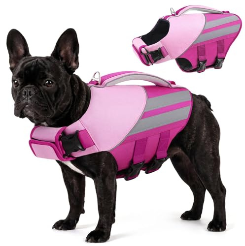 Queenmore Schwimmweste Hund Mittel Reißfest & Strapazierfähig Hundeschwimmweste Hohe Schwimmkraft Hund Schwimmweste Für Kajak Strand Bootfahren Schwimmen Surfen, Rosa, M