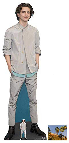 BundleZ-4-FanZ Dekorativer Schnitt, aus Karton, 179 x 58 cm, Timothee Chalamet Grey Outfit, inklusive Mini-Ausschnitt und 20,3 x 25,4 cm Foto