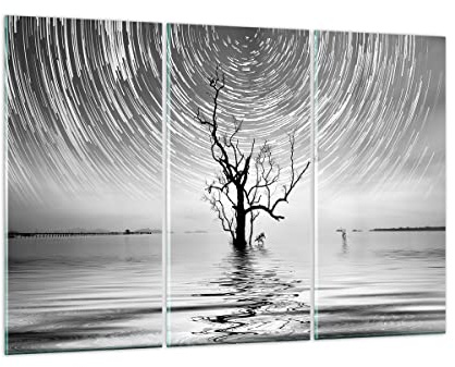 Glasbild 165x110cm Wandbild Glasdruck Schwarz-Weiß Landschaften - 4253 | UND Baum Schwarz Mehrteilige Groß XXL Modern Dekoration Wohnzimmer Schlafzimmer Küche Wanddeko Kunstdruck Art ARTTOR