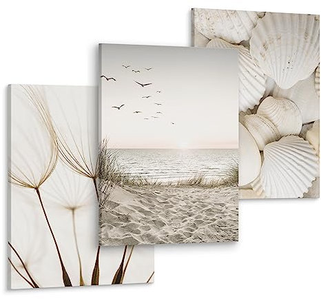 Muralo - Wandbilder Set - Leinwand Bilder Set Aufhängefertig - das Leinwandbilder Set - Bilder für Wohnzimmer Schlafzimmer - Moderne Wanddeko Boho Set - Muscheln Strand - 3 Bilder 30 x 40 cm