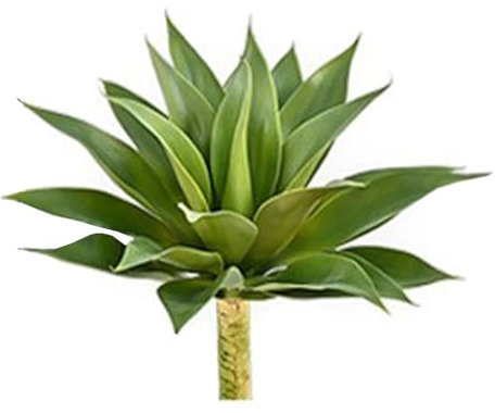 Xnferty Planta Suculenta de Agave Artificial, 17 Pulgadas, Plantas de Agave Falsas para Exteriores, Planta de Aloe Artificial, Decoración Verde, Tamaño Pequeño, Tallos de Suculentas(Verde)