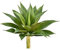 Xnferty Künstliche Agave-Sukkulente, 17 Zoll, Künstliche Agave, Outdoor-Pflanzen, Künstliche Aloe-Pflanze, DIY-Gründekoration, Kleine Künstliche Sukkulenten-Stängel für Zuhause, Gehwege,(Grün)