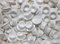 10 Stück Stopfen 10mm(Loch) x 13mm (Abdeckung), weiß