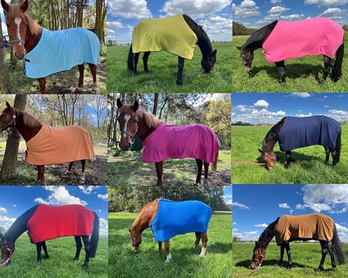 Brama-West Abschwitzdecke Pferd Pferdedecke 2 Stück - Basic Fleecedecke - Atmungsaktiv - in Überraschungsfarben (155)